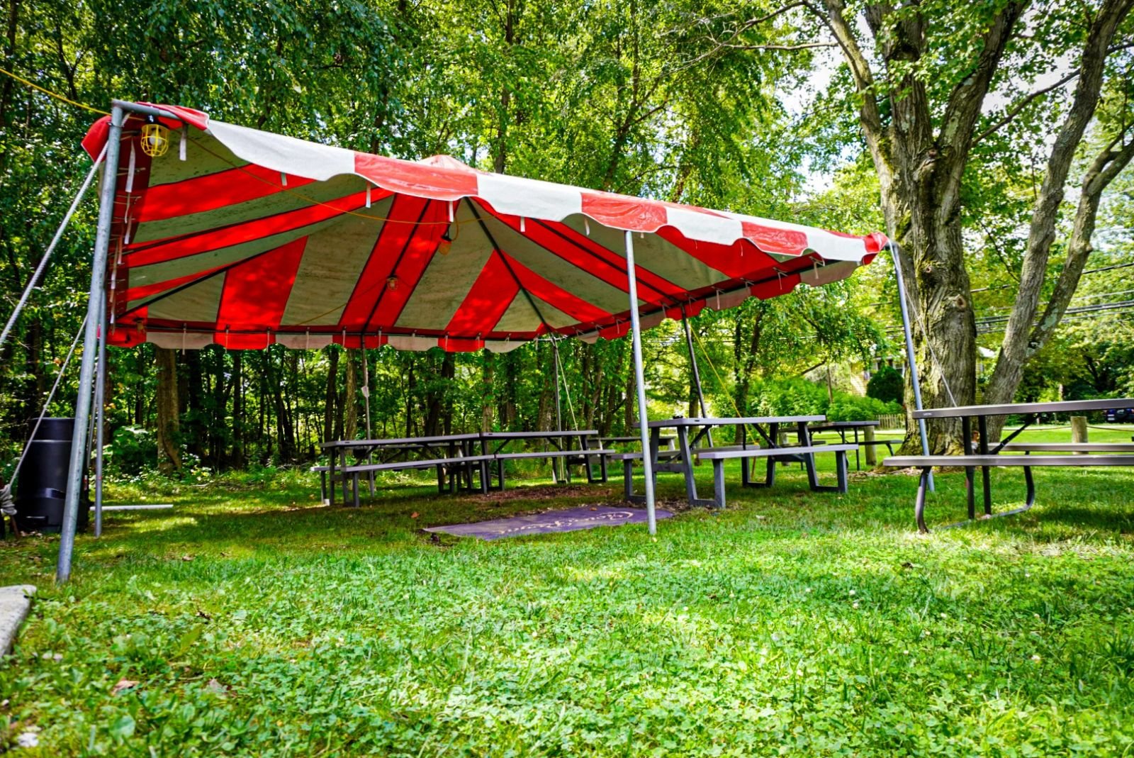 Shaded outdoor picnic area under the trees
